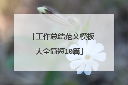 工作总结范文模板大全简短10篇