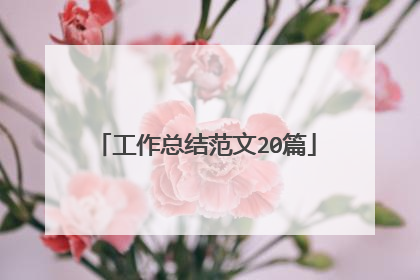 工作总结范文20篇