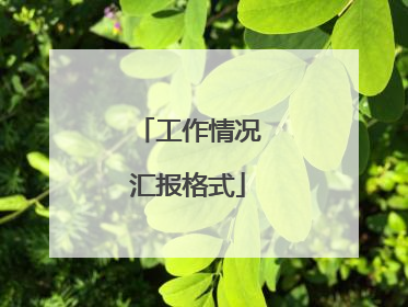 工作情况汇报格式