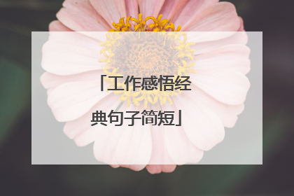 工作感悟经典句子简短