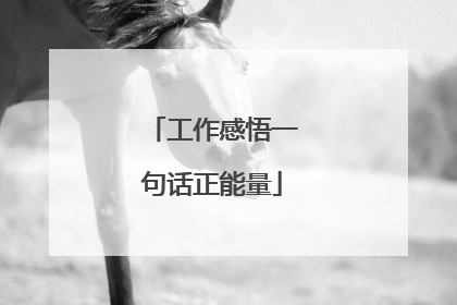 工作感悟一句话正能量