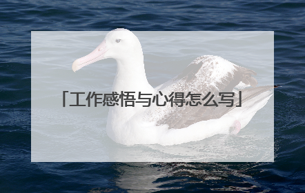 工作感悟与心得怎么写