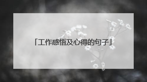 工作感悟及心得的句子