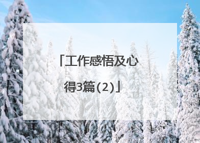 工作感悟及心得3篇(2)