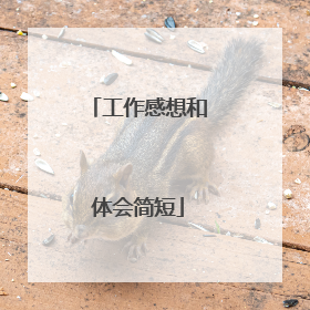 工作感想和体会简短