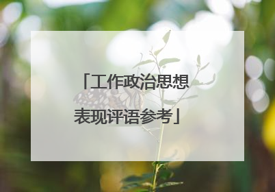 工作政治思想表现评语参考