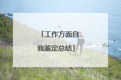 工作方面自我鉴定总结