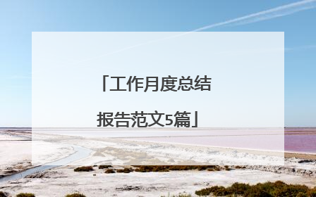 工作月度总结报告范文5篇
