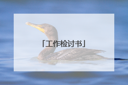 工作检讨书