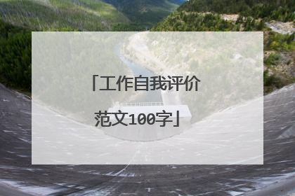 工作自我评价范文100字