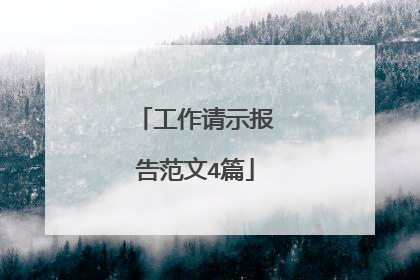 工作请示报告范文4篇
