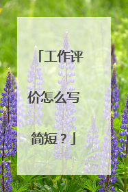 工作评价怎么写简短？