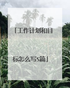 工作计划和目标怎么写5篇