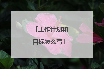 工作计划和目标怎么写