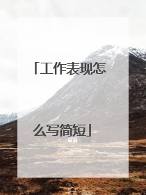 工作表现怎么写简短
