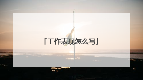 工作表现怎么写