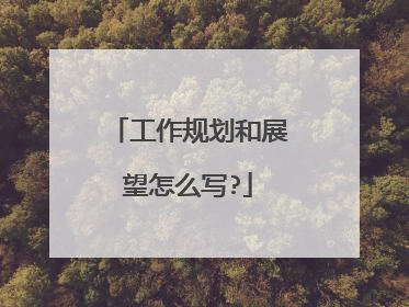 工作规划和展望怎么写?