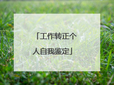 工作转正个人自我鉴定