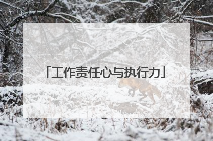 工作责任心与执行力