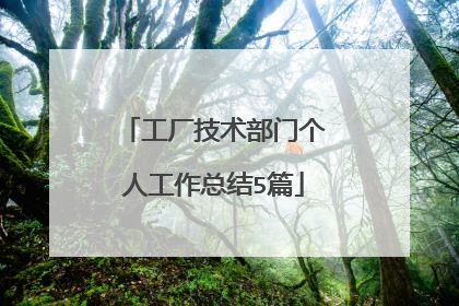 工厂技术部门个人工作总结5篇