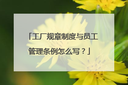 工厂规章制度与员工管理条例怎么写?