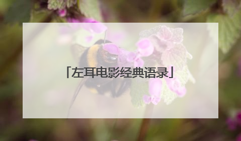 左耳电影经典语录