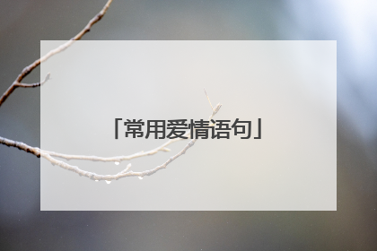 常用爱情语句