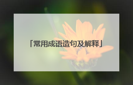 常用成语造句及解释