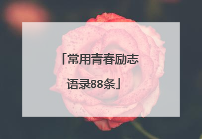 常用青春励志语录88条