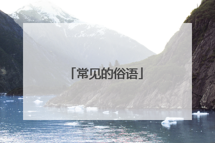 常见的俗语