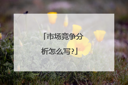 市场竞争分析怎么写?
