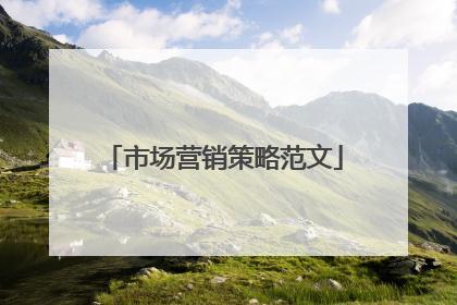 市场营销策略范文