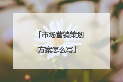 市场营销策划方案怎么写