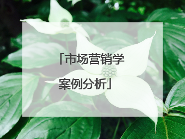 市场营销学案例分析