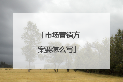 市场营销方案要怎么写