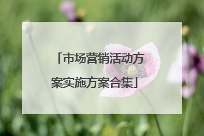 市场营销活动方案实施方案合集