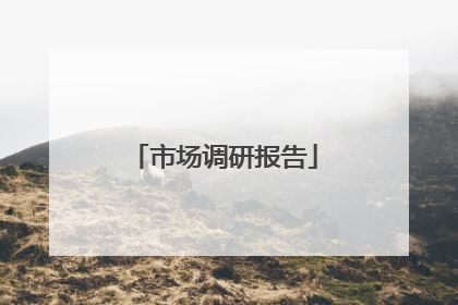 市场调研报告