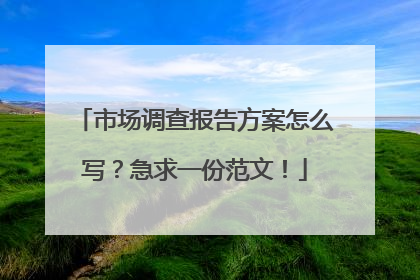 市场调查报告方案怎么写?急求一份范文!