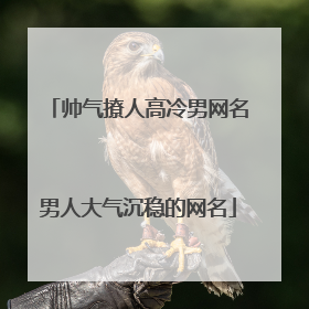 帅气撩人高冷男网名男人大气沉稳的网名