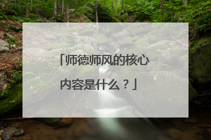 师德师风的核心内容是什么?