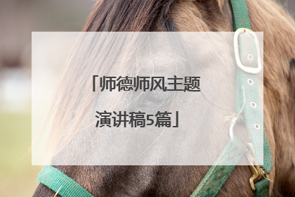 师德师风主题演讲稿5篇