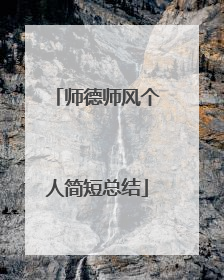 师德师风个人简短总结