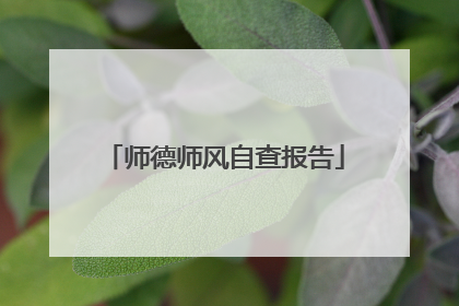 师德师风自查报告