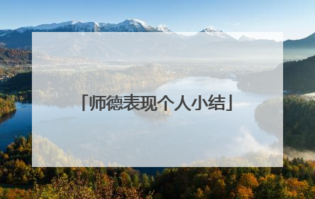 师德表现个人小结