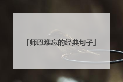师恩难忘的经典句子