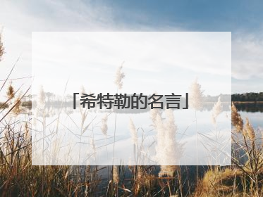 希特勒的名言