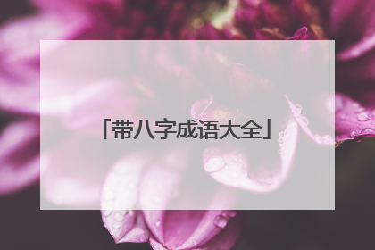 带八字成语大全