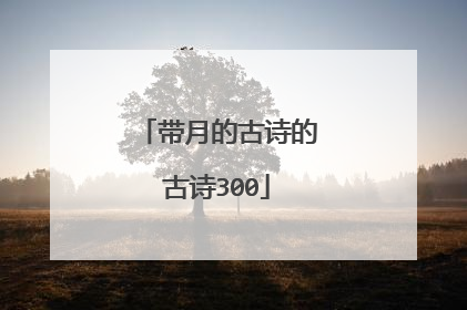 带月的古诗的古诗300