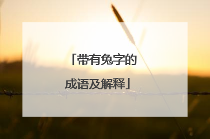 带有兔字的成语及解释