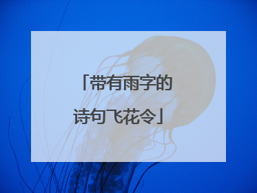 带有雨字的诗句飞花令